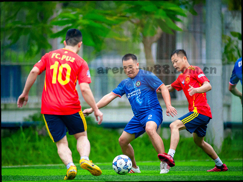 抽象法律条文叠加在数据网格上，示意服务边界与数据更新机制